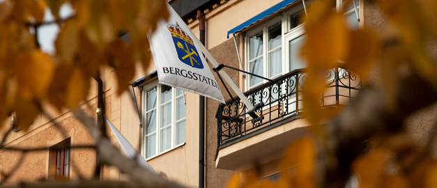 A flag with the Inspectorates logotype. Photo.