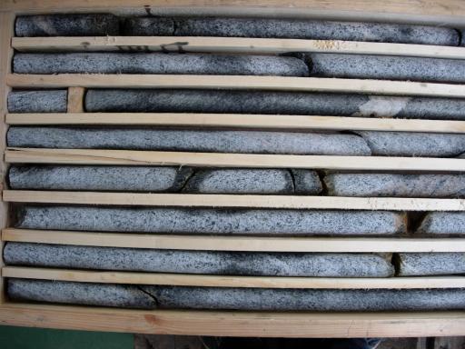 Borrkärnor i en låda