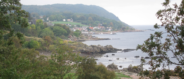 Bild av hus vid en kust.