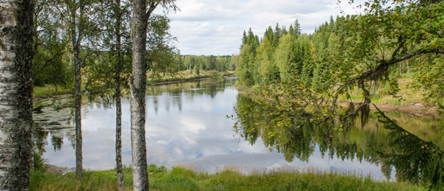 Västerdalälven slingrar sig i landskapet.