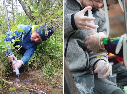 Provtagning i vattendrag.