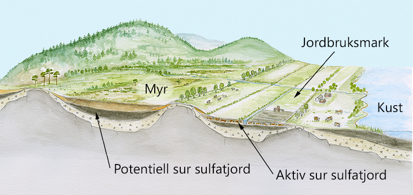 H&auml;r ser man var sur sulfatjord finns.
