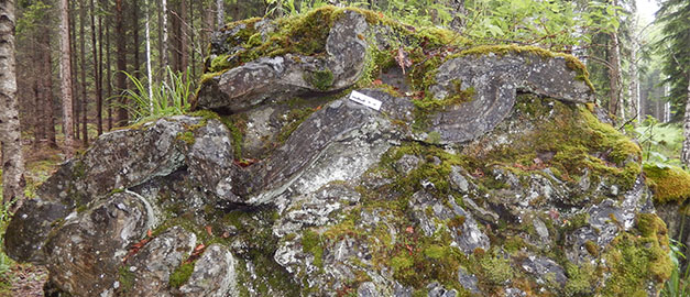 Block i veckat skarn norr om Ludvika.
