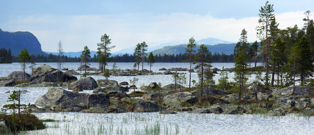 Vatten och träd. Fjäll i bakgrunden.