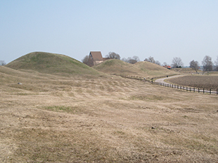Kungsh&ouml;garna i Gamla Uppsala.
