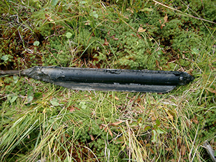 Borrk&auml;rna med svartmocka.