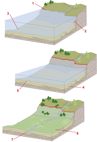 Illustration som visar ett omr&aring;de som f&ouml;r&auml;ndrats fr&aring;n havsbotten till lersl&auml;tt.