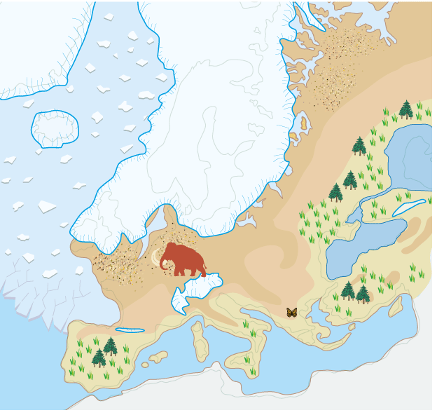 Illustration som visar inlandsisens utbredning.