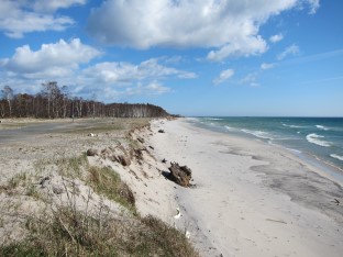Sandstranden vid L&ouml;derup p&aring; Sk&aring;nes sydkust har troligen svenskt rekord i stranderosion