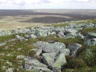 Foto p&aring; blockig mark uppe p&aring; Fulufj&auml;llet.