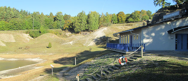 Gräs, skog och ett hus. Foto.