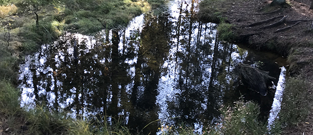 Glörje källa, Anderstorp.