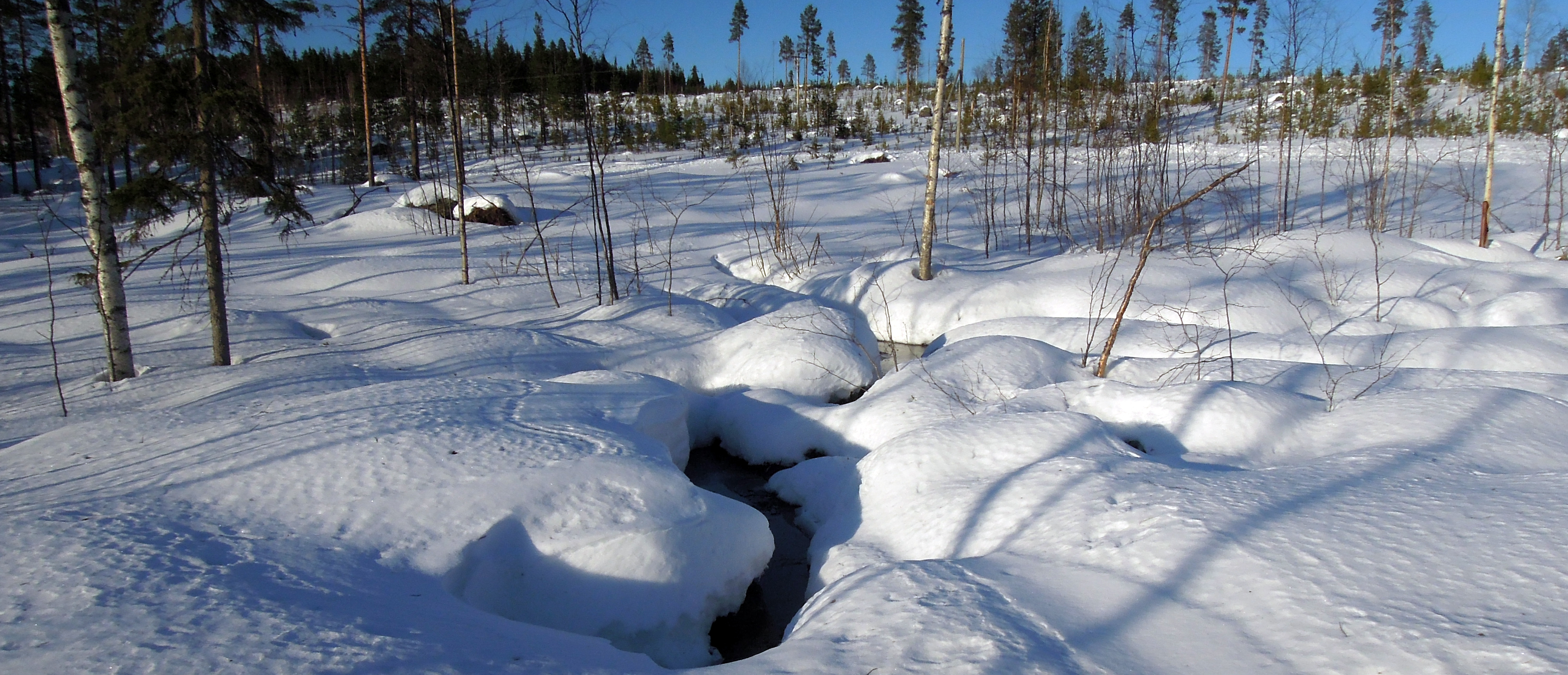 Bilden visar Källan Lappträsket (Pålkem), Norriån.