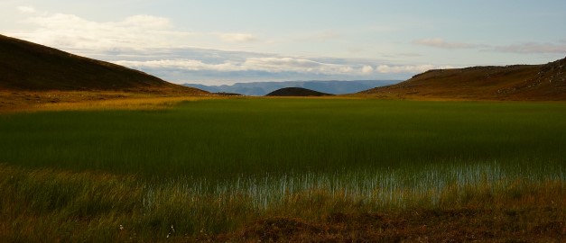 Foto: Marina Becher, SGU.