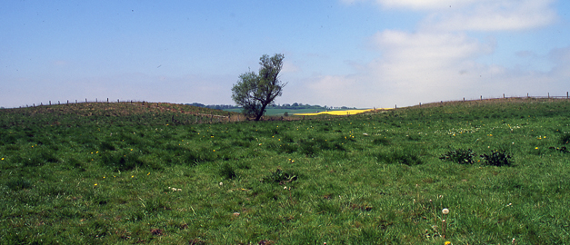 Landskap med två kullar.