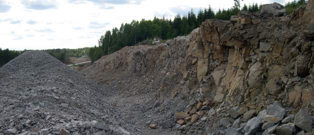 Bild på granitisk gnej.