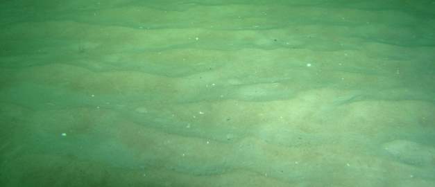 Foto av sand på havsbottnen.