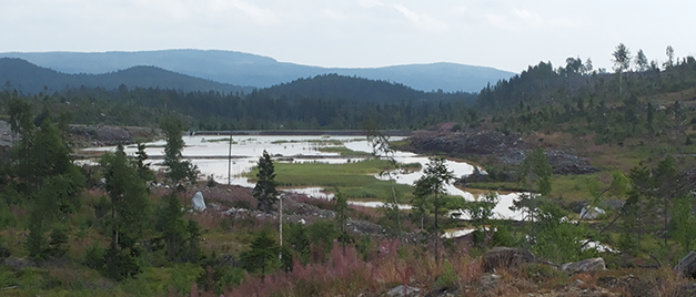 Träsk, berg och vatten. Foto.