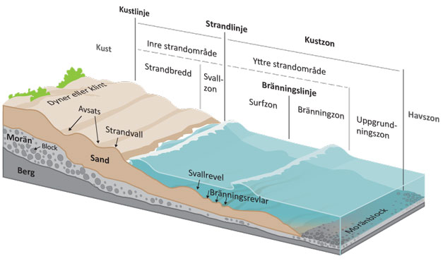 Kustn&auml;ra sedimentdynamik