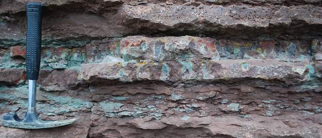 Blommiga bladet, en horisont i den öländska kalkstenen.