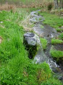 R&ouml;rbrunn med &ouml;vertryck i ravin. Foto. Magdalena Thorsbrink.