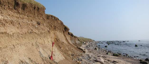 Foto av skärning i moränlera överlagrad av svallgrus vid kusten väster om Ystad. Bilden visar på aktiv erosion.