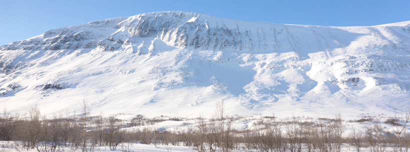 Swedish mountains. Photo.