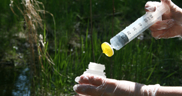 SGU:s föreskrifter om övervakning av grundvatten (SGU-FS 2014:1)