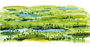 Om vägledning Vattenförvaltning av grundvatten