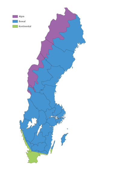 Karta över Sverige. Illustration.