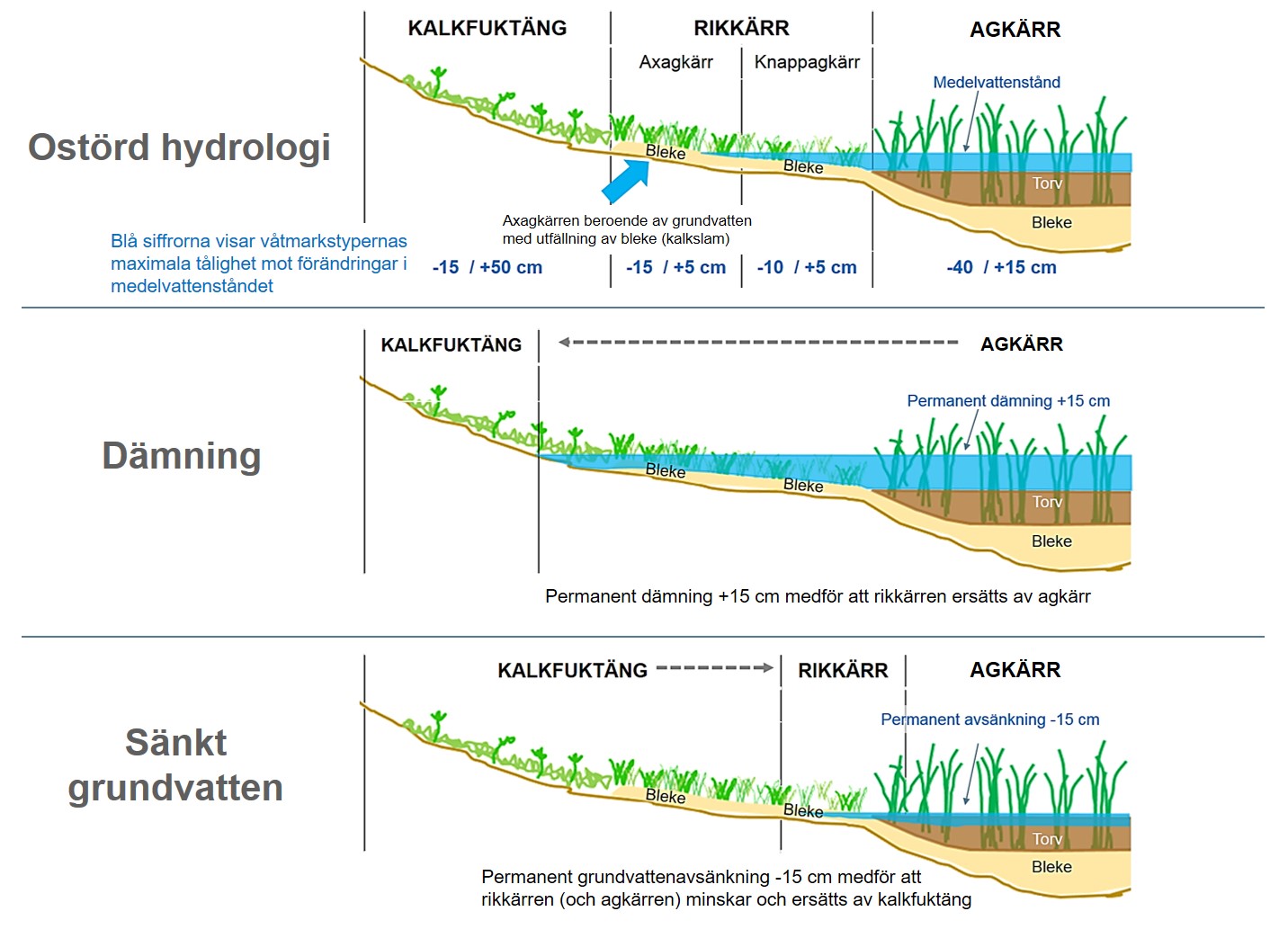Sluttning med utbredning för kalkfuktäng, rikkärr och agkärr, utbredningen varierar beroende vid ostörd hydrologi, dämning och sänkt grundvatten. Illustration.
